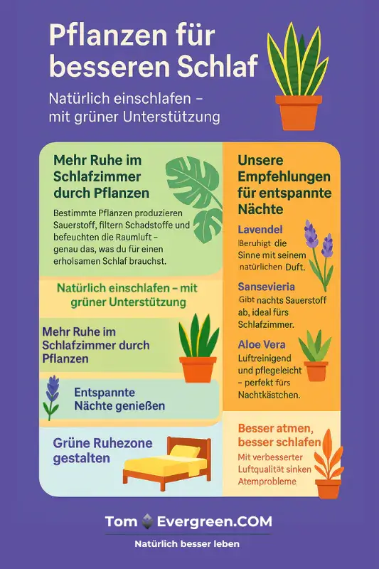Infografik mit 4 TOP Tipps für besseren Schlaf mit Pflanzen Infografik: Pflanzen fördern besseren Schlaf – durch Luftreinigung, beruhigende Wirkung, grüne Atmosphäre und gesunde Raumluft.