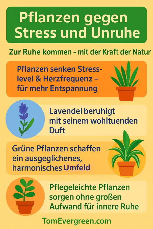 Infografik mit 4 TOP Tipps für Pflanzen gegen Stress und Unruhe Infografik: Pflanzen helfen, Stress zu reduzieren – durch beruhigenden Duft, harmonisches Raumklima, grüne Umgebung und einfache Pflege.